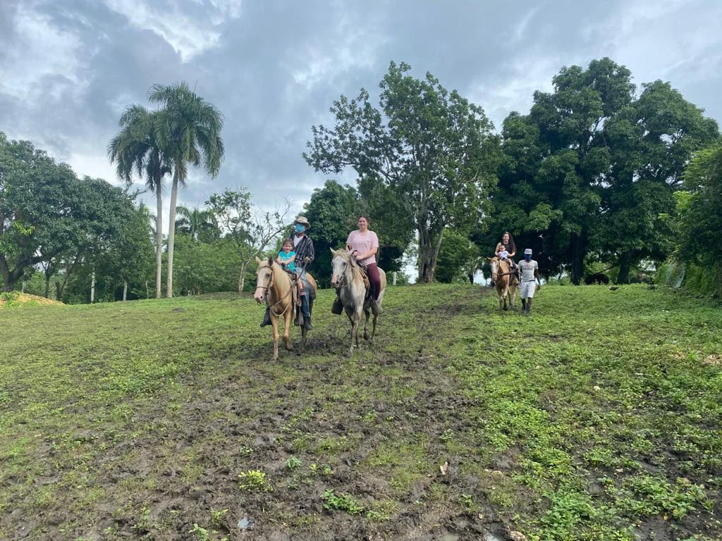 caballos-en-safari-min